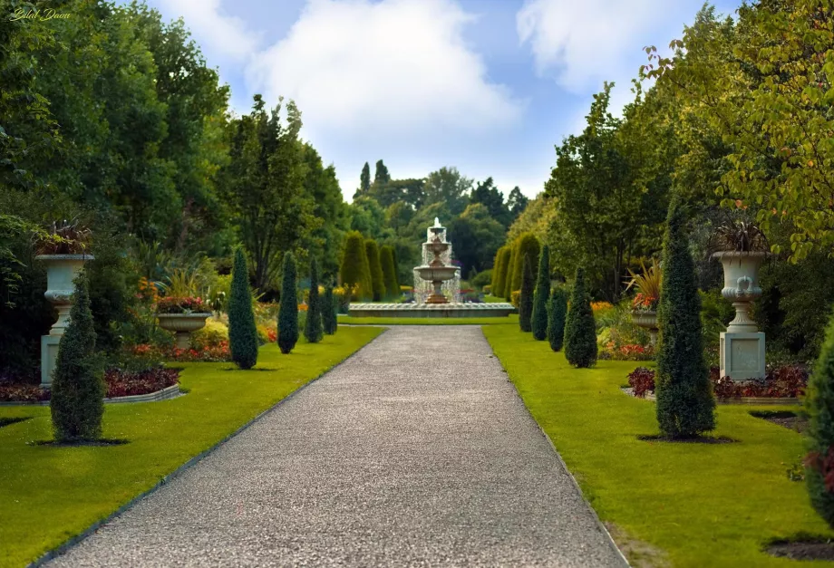 Regent's Park Kraliyet Bahçesi