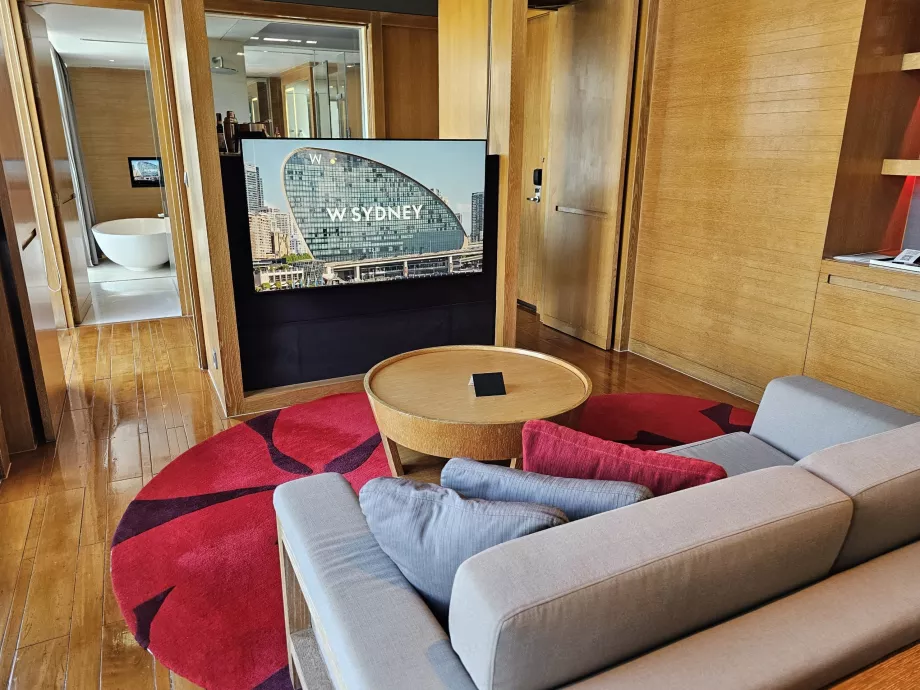 Televizyonlu odamız