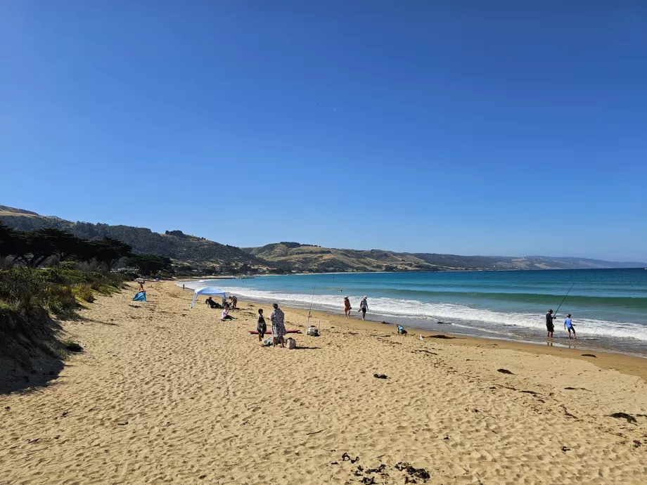 Apollo Bay Plajı