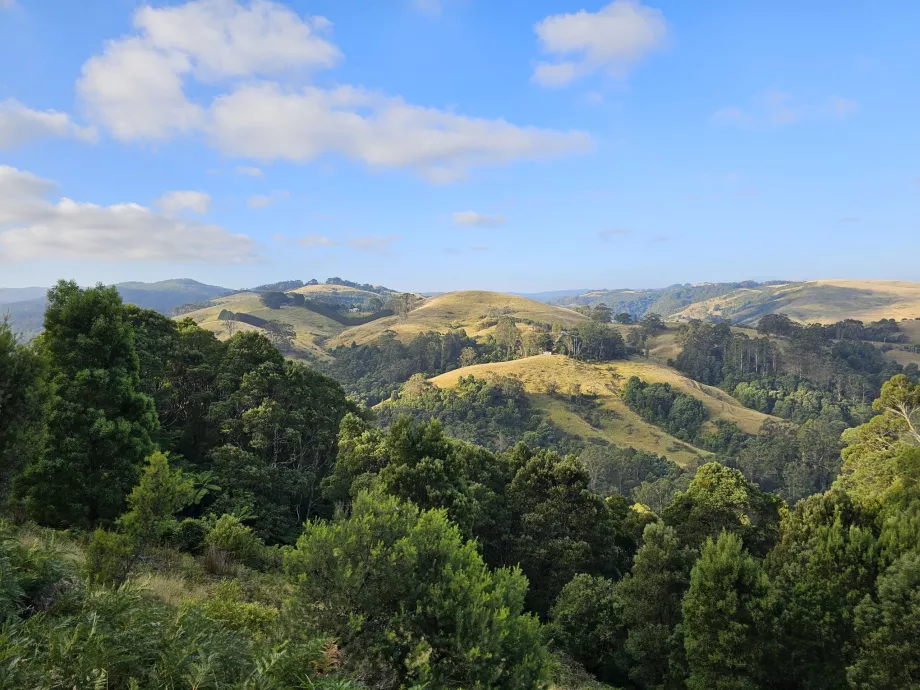 Büyük Otway Ulusal Parkı