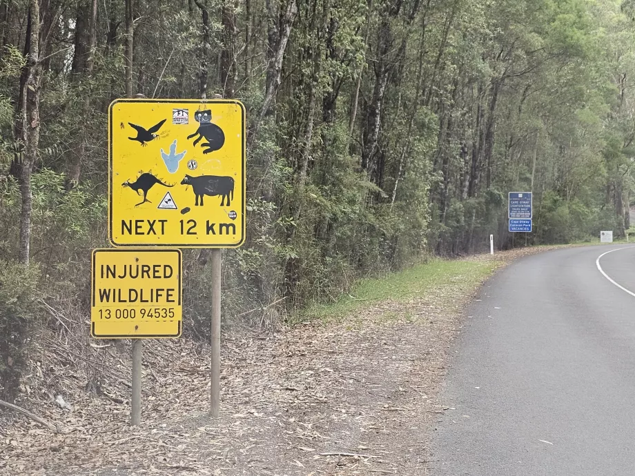 Yol boyunca tipik işaretler