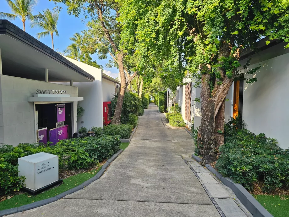 Sahile yakın villalar