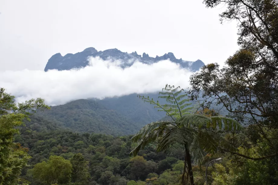 Kinabalu Dağı, Sabah, Borneo