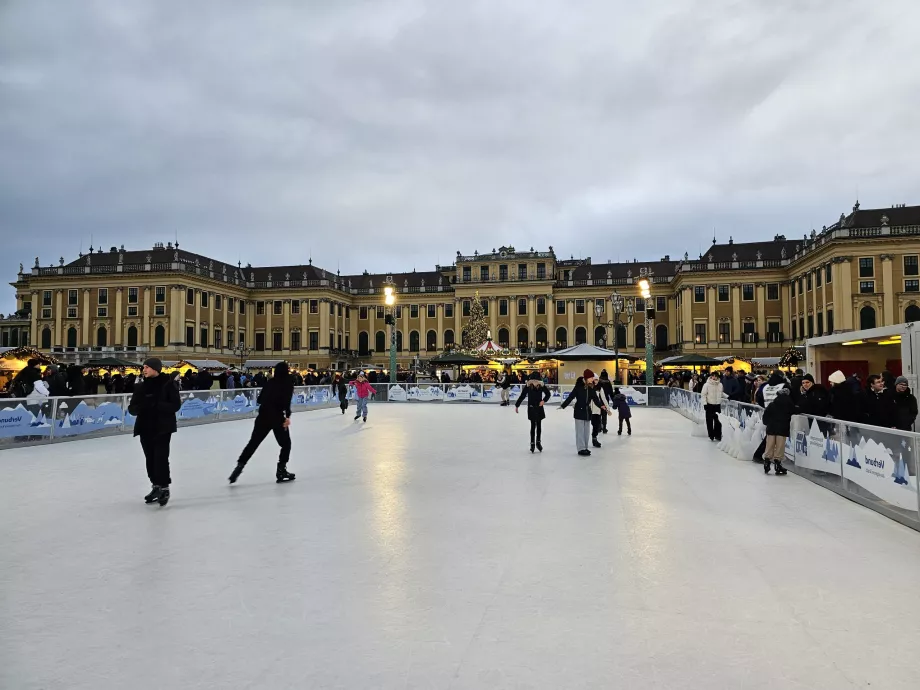 Schönbrunn Noel Pazarı'nda buz pisti