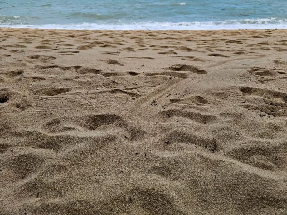 Otel plajında daha kaba kum