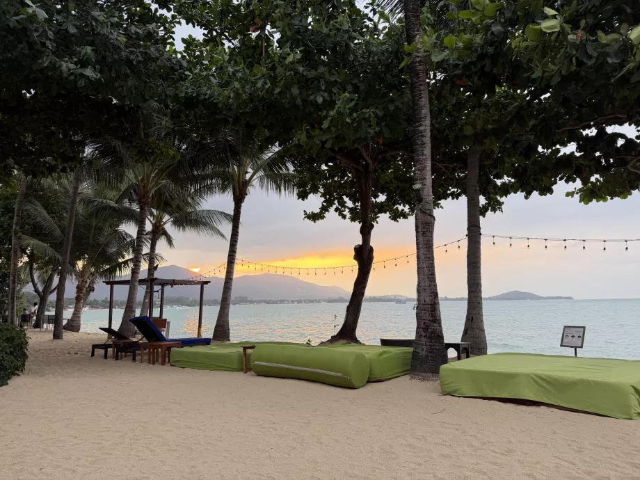 Gün batımında şezlonglu otel plajı