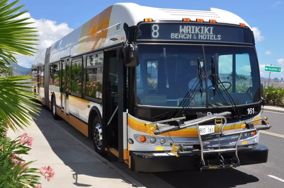 Otobüs Oahu