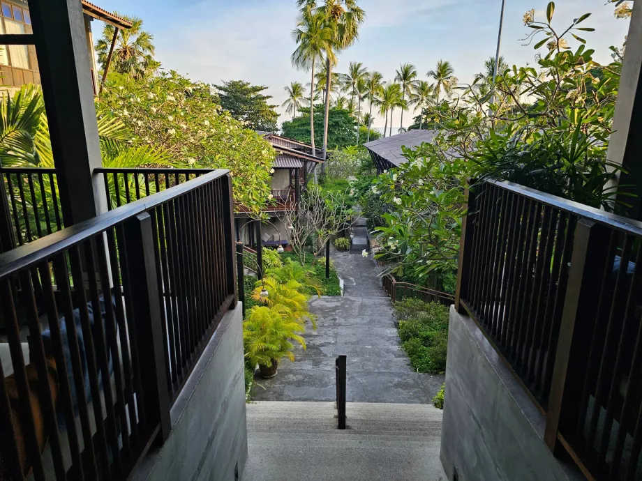 Homm Chura Samui resepsiyondan görüldüğü gibi