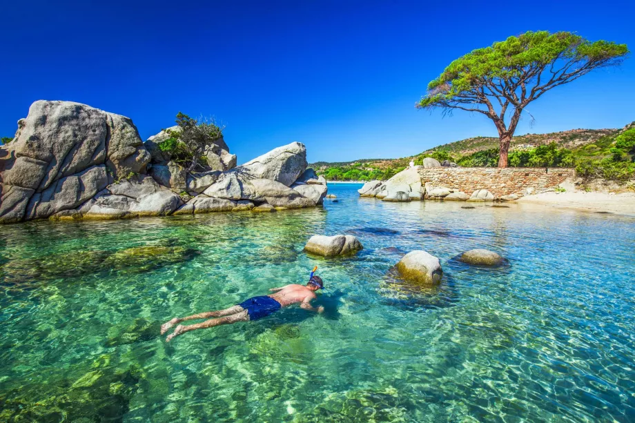 Palombaggia Plajı