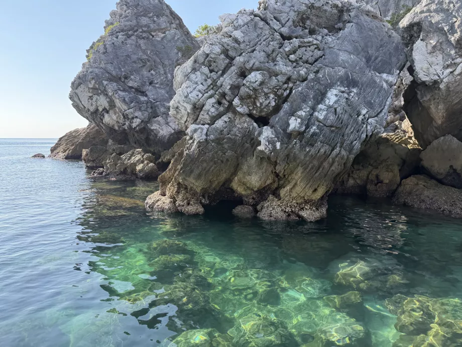 Şnorkelle dalış noktası