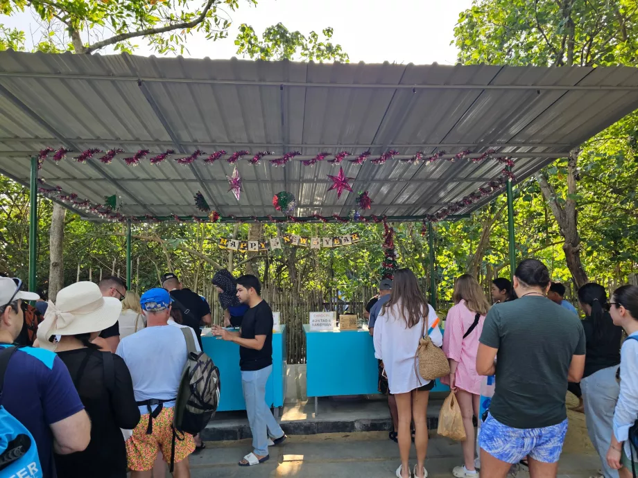 Kalkıştan önce iskelede check-in (ve milli park giriş ücretinin ödenmesi)