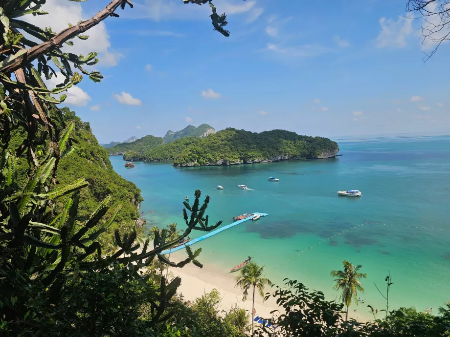 En yüksek manzara noktasına giden patika