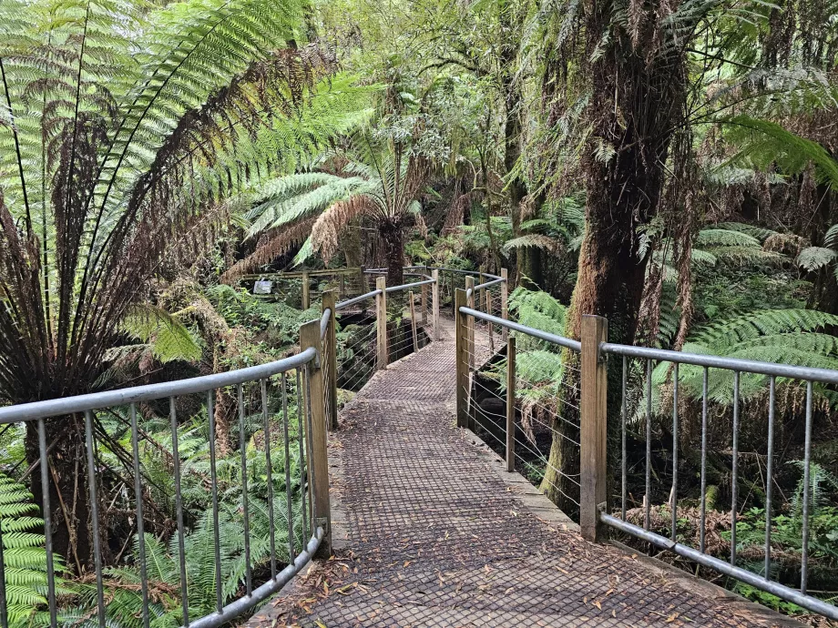 Hopetoun Şelaleleri