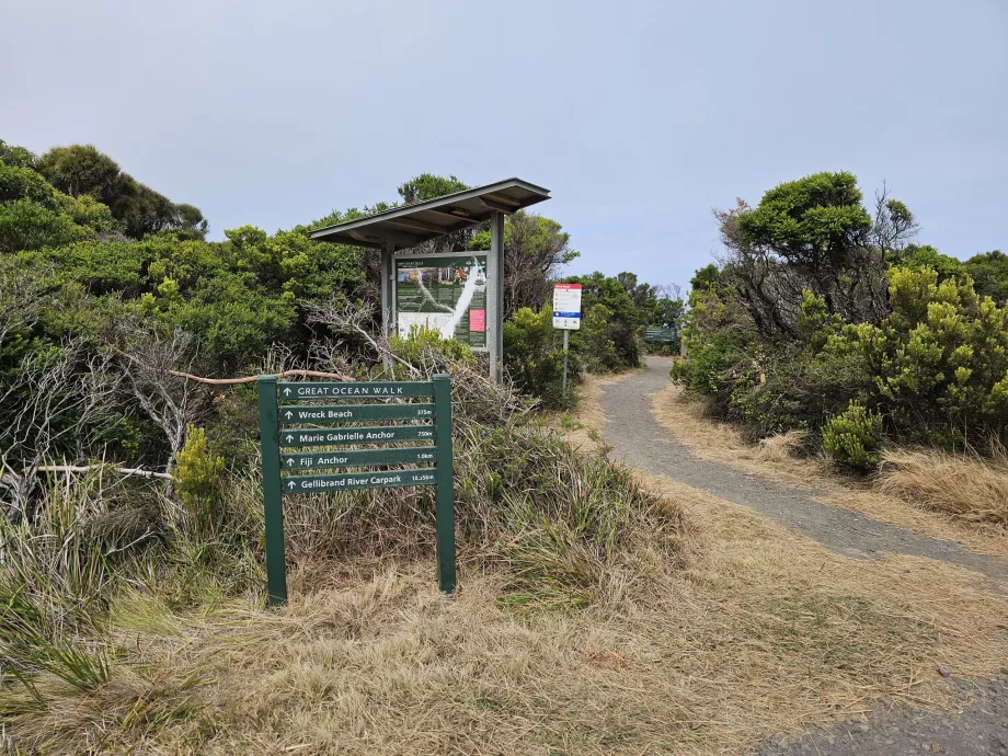 Büyük Okyanus Yürüyüşü