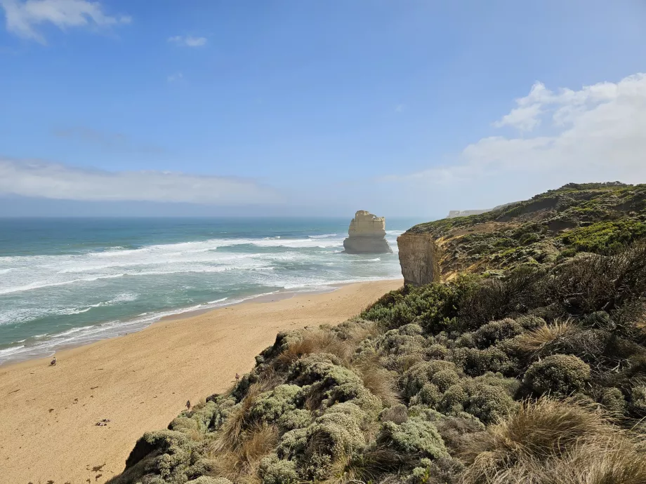 Gibson Steps Bakış Açısı
