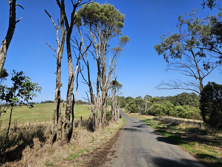 Büyük Otway Ulusal Parkı