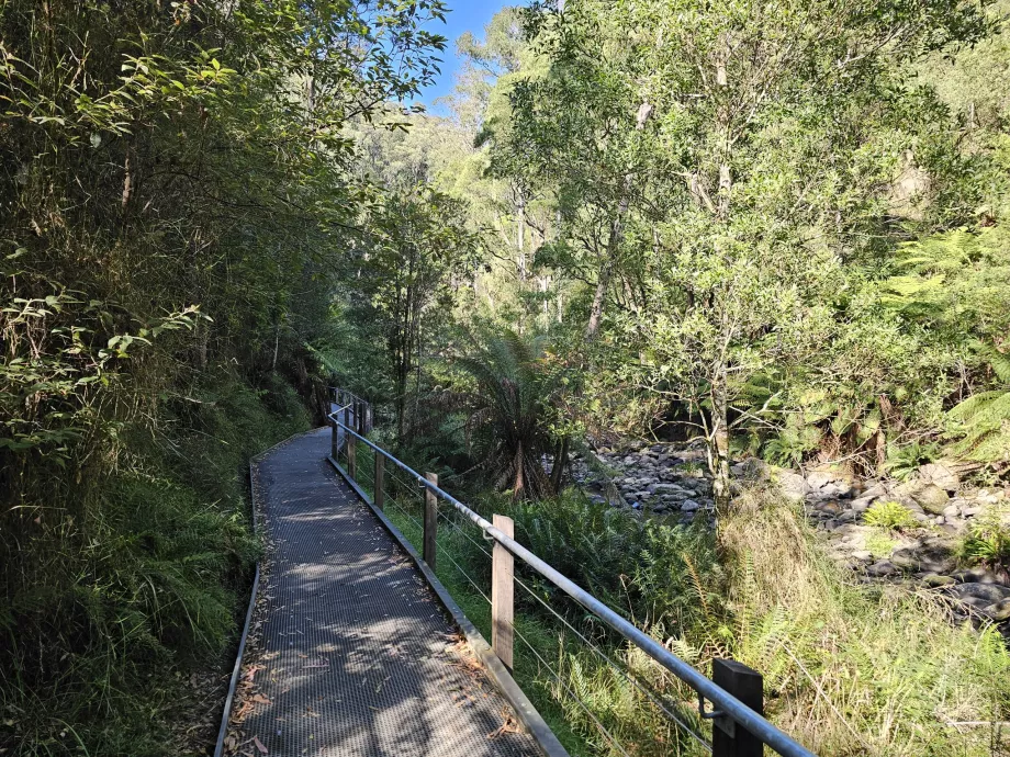 Stevenson Şelaleleri Patikası