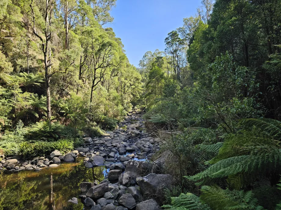 Stevenson Şelaleleri