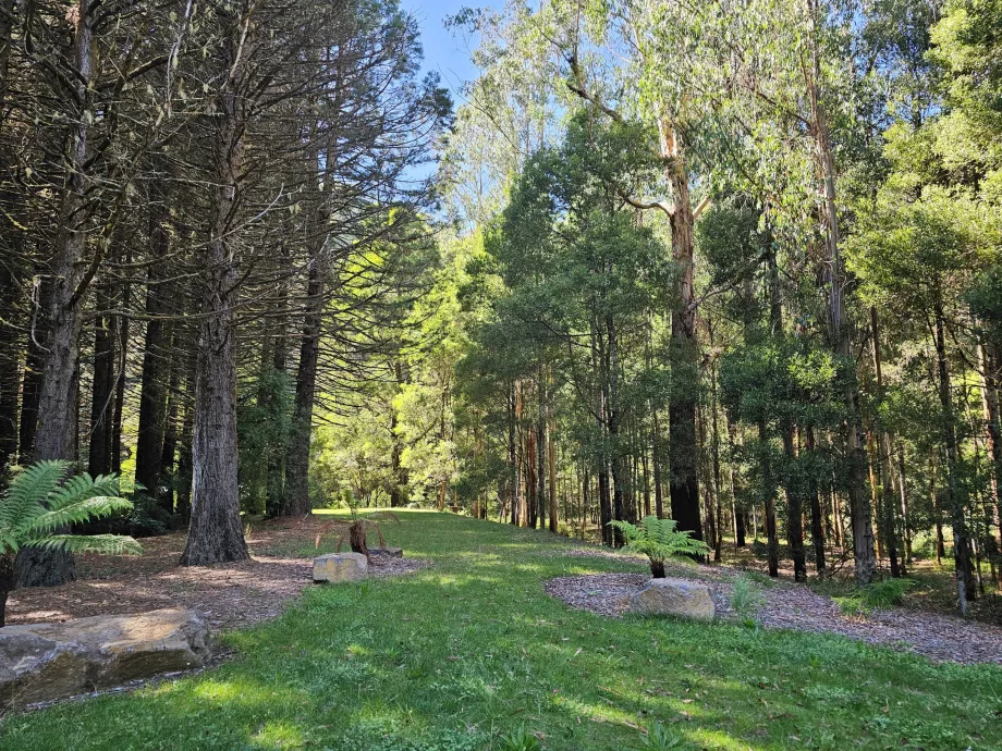 Stevenson Şelaleleri