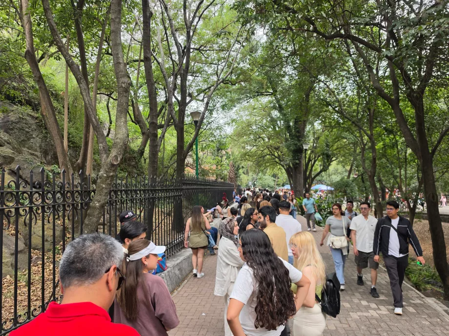 Chapultepec Kalesi, giriş için kuyruk