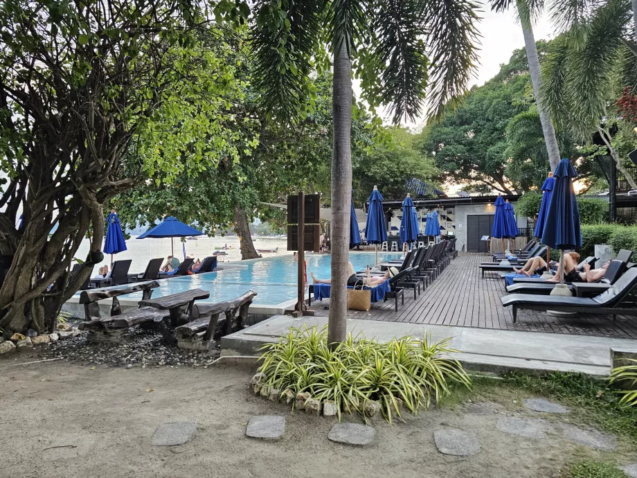 Şezlonglu yüzme havuzu