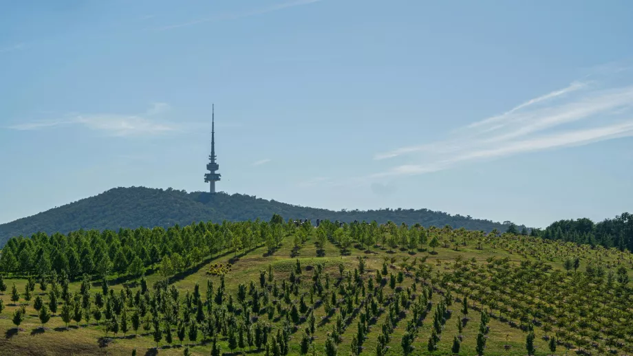 Ulusal Arboretum