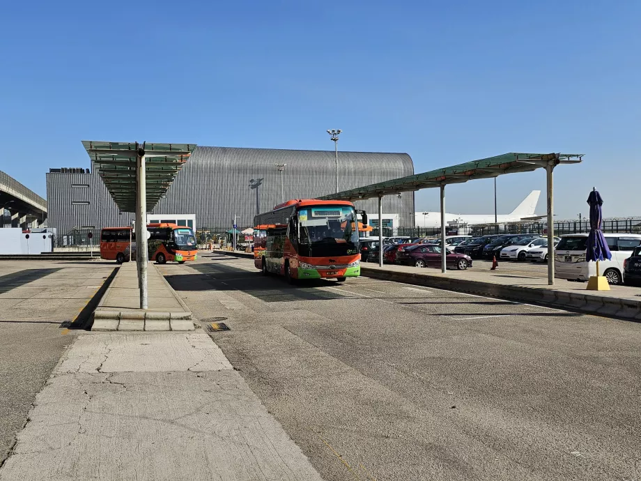 Büyük otellere ücretsiz servis otobüsleri