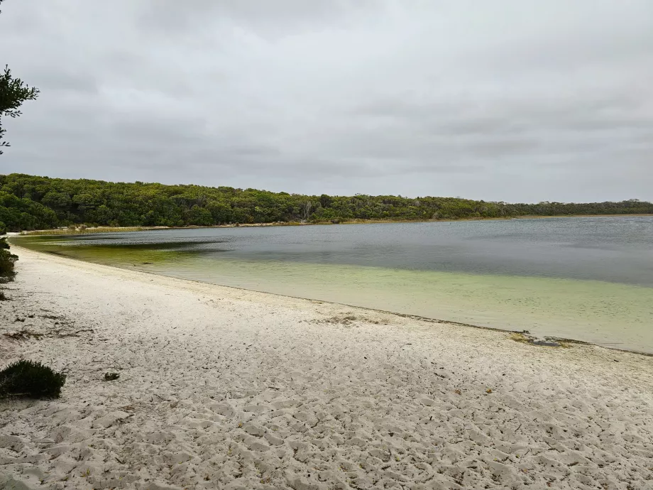 Martha Lavinia Gölü