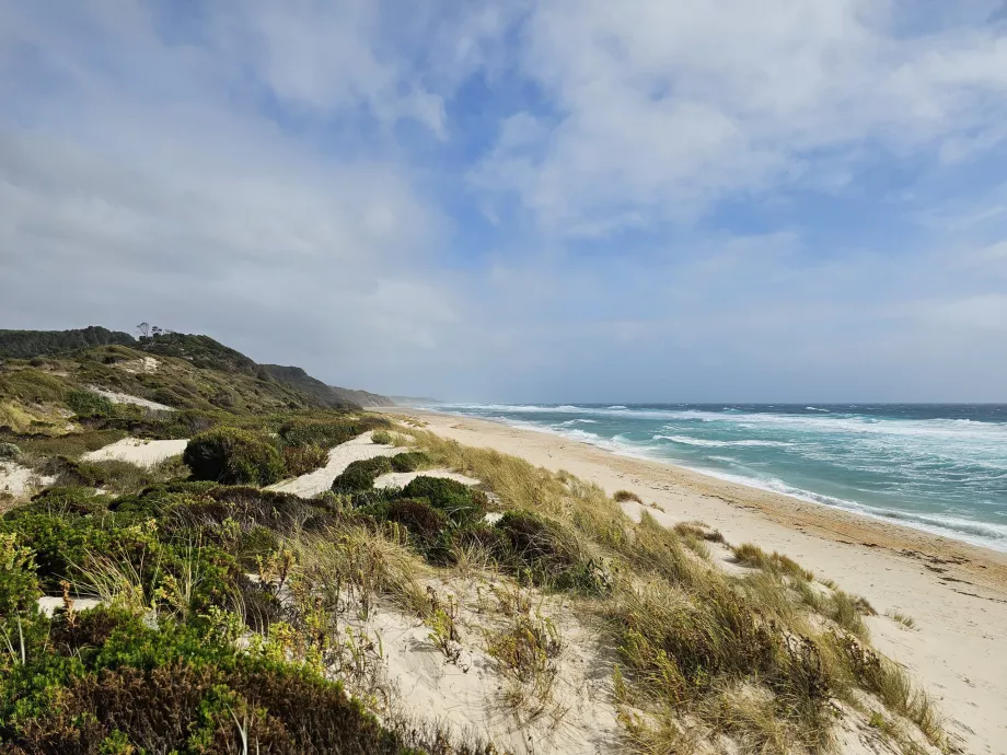 Lavinia Eyalet Koruma Alanı