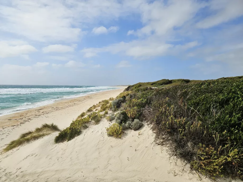 Lavinia Eyalet Koruma Alanı