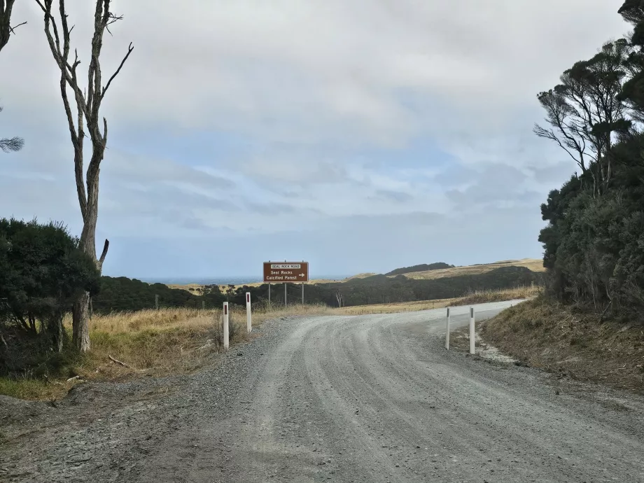 Adanın güney ucuna giden yol