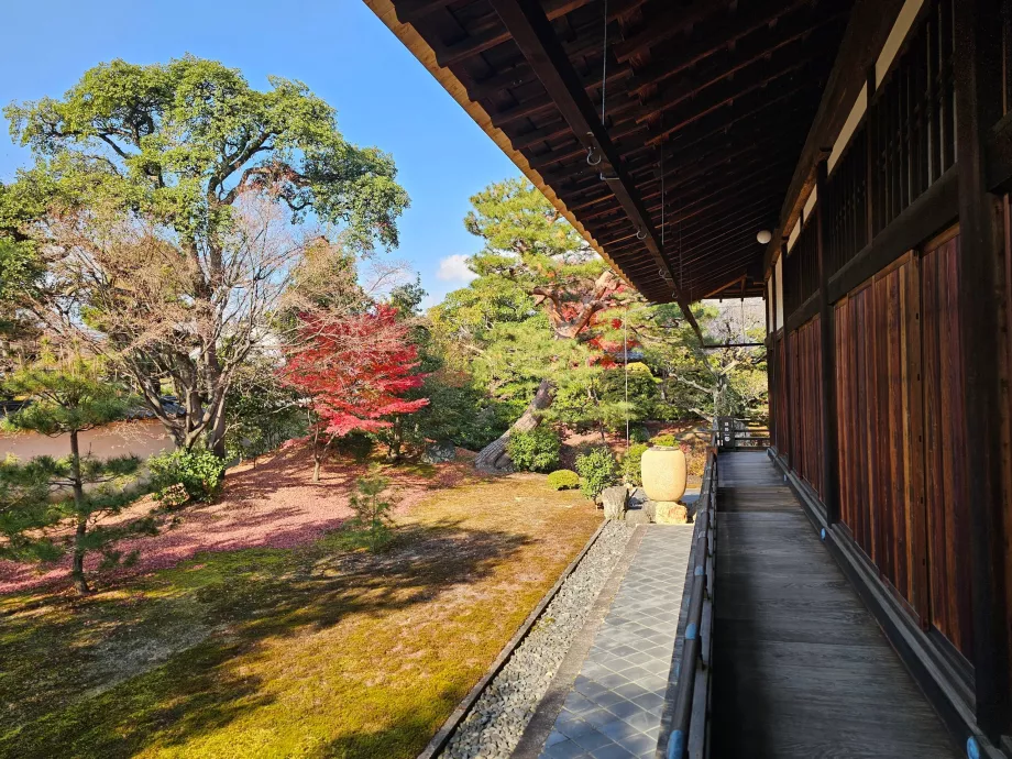 Shokoku-ji Tapınağı