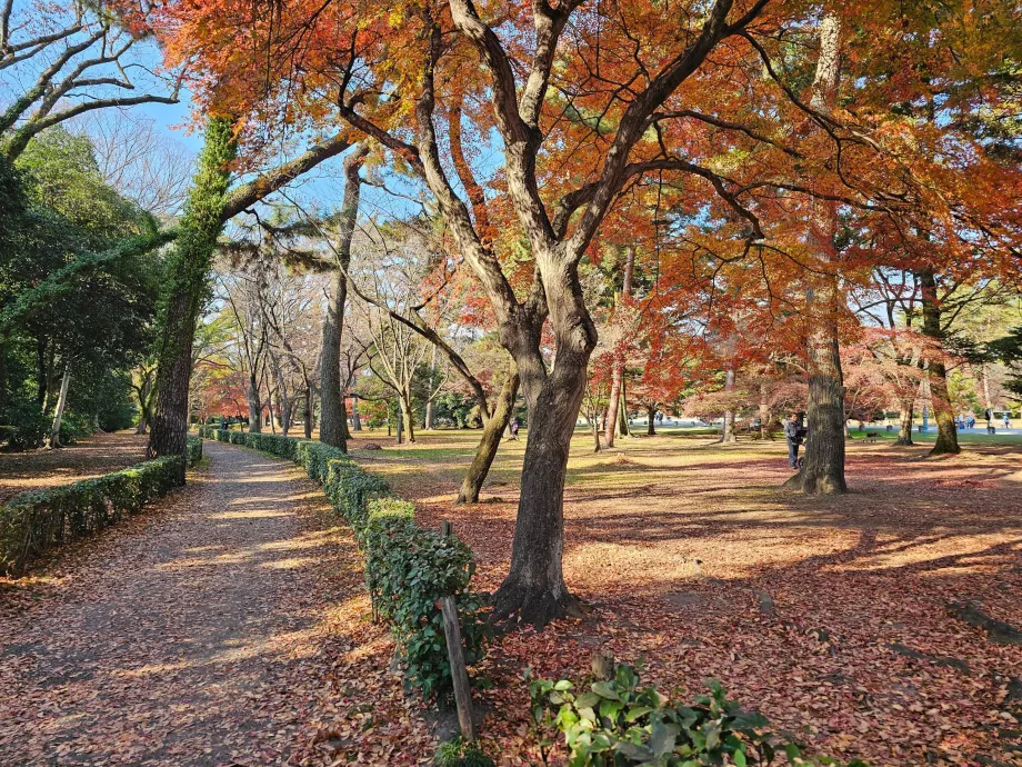 Kyoto İmparatorluk Sarayı