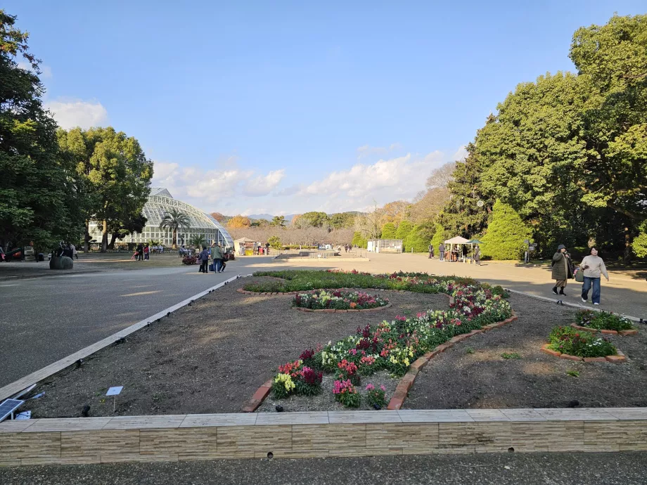 Kyoto Botanik Bahçeleri