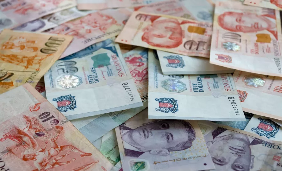 Singapur Doları