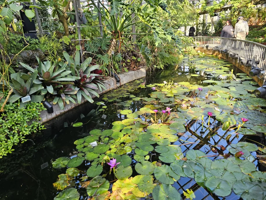 Kyoto Botanik Bahçeleri