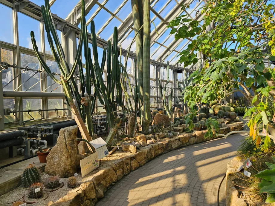 Kyoto Botanik Bahçeleri