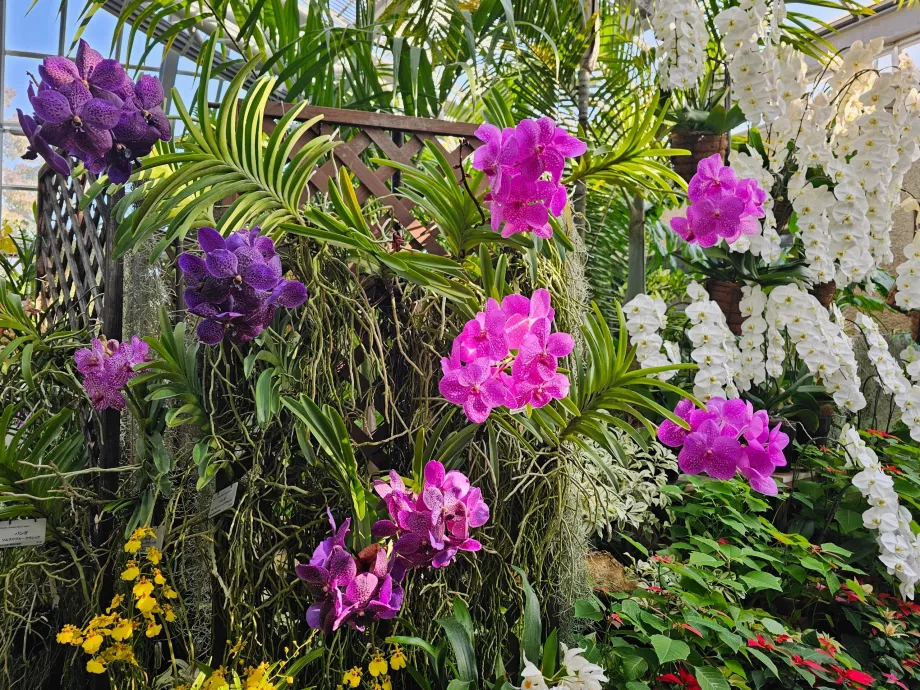 Kyoto Botanik Bahçeleri