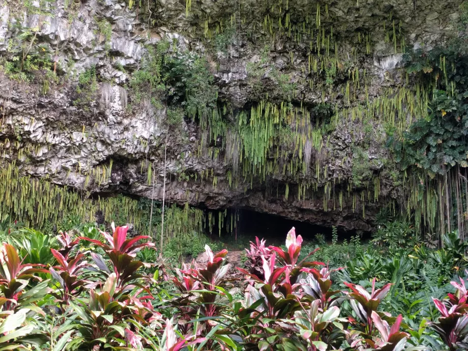 Fern Grotto
