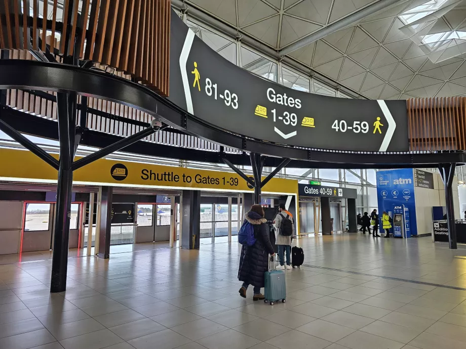 Bilgi sistemi, havaalanı STN