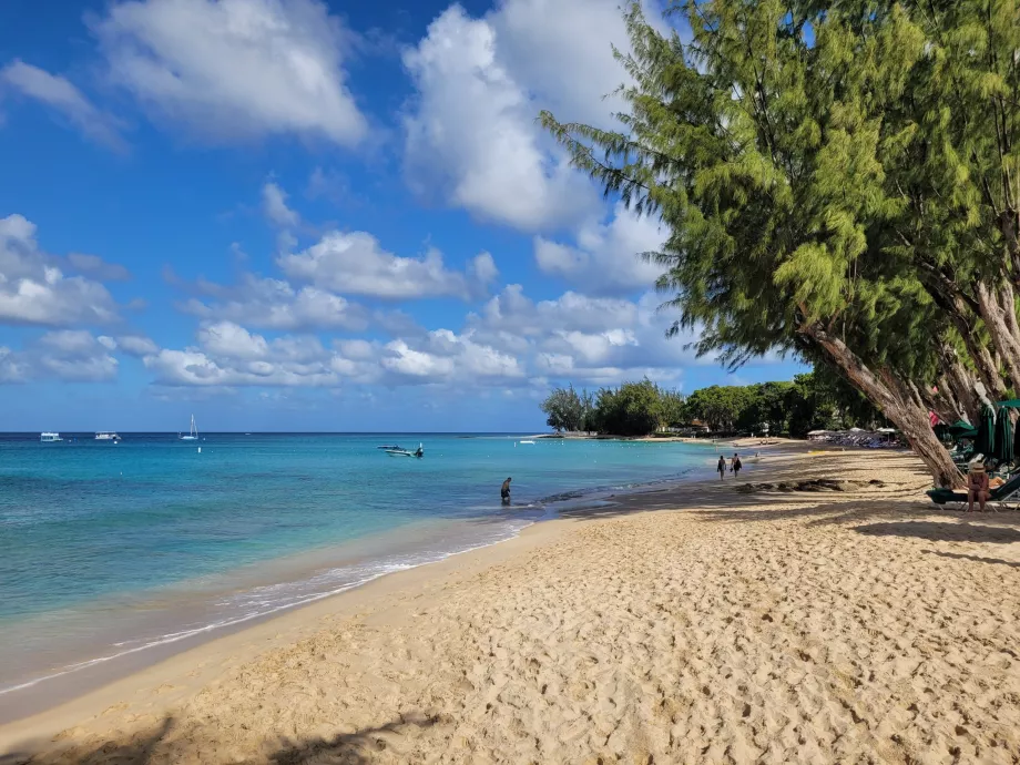 Folkestone Deniz Parkı
