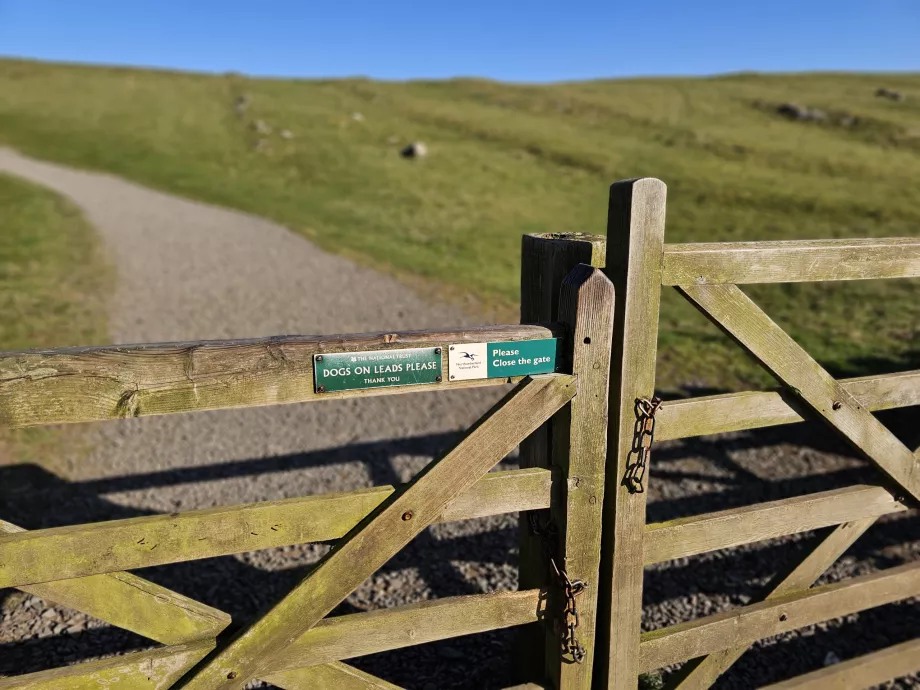 Kapıyı kapatın ki koyunlar kaçmasın