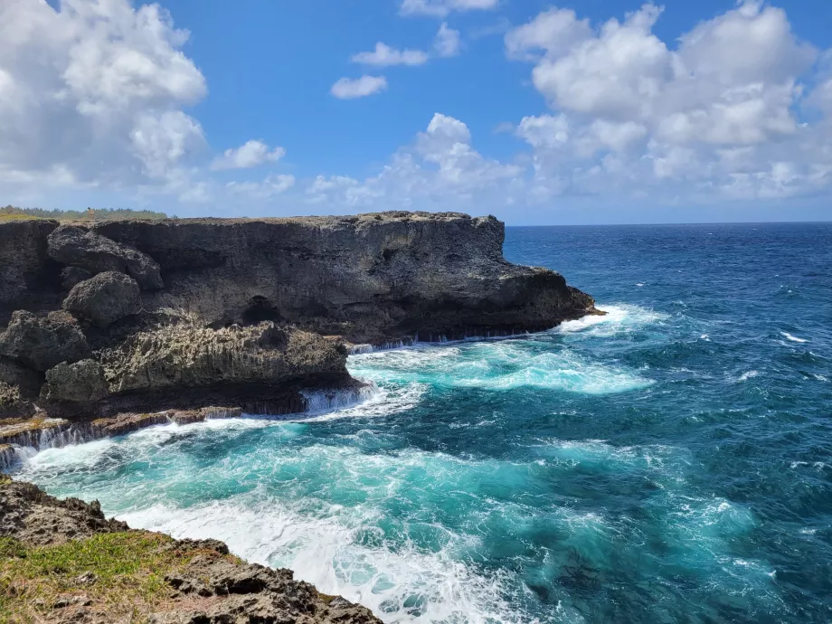 Hayvan Çiçek Mağarası