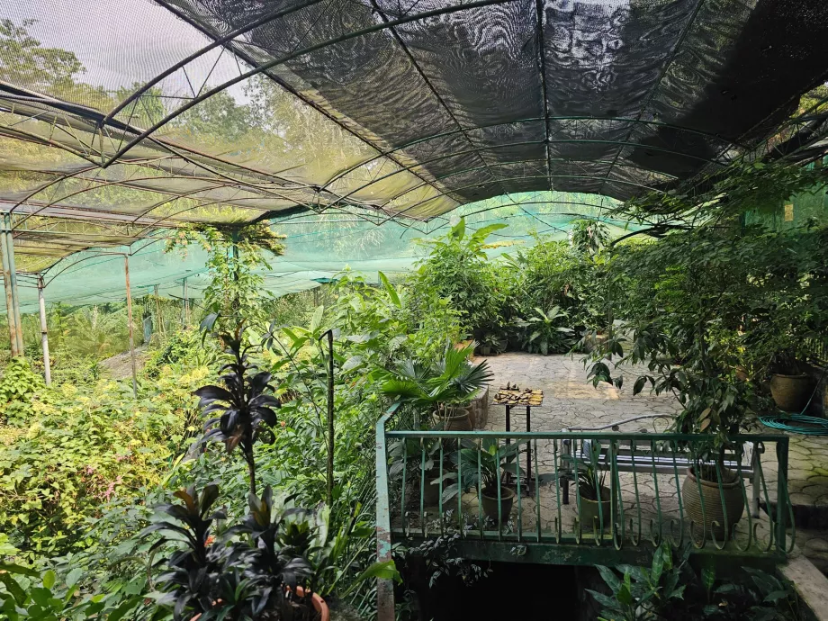 Kelebek Parkı