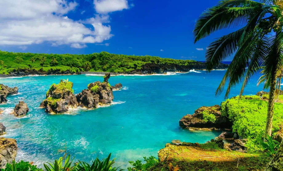 Maui - Hawaii Adaları