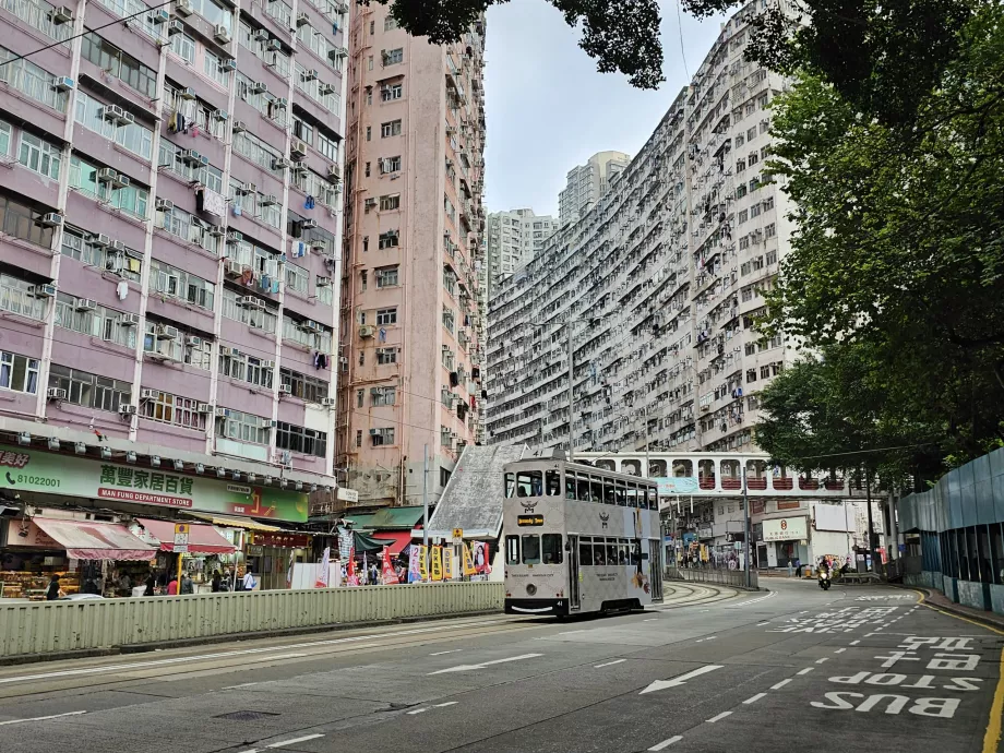 Ana Cadde'den görülen Monster Binası