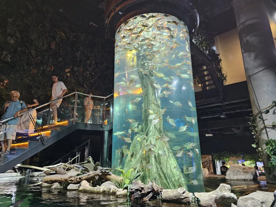 Aquaria