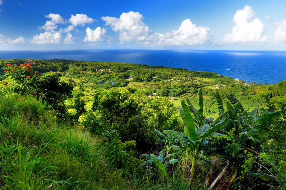 Maui Kuzey Sahili