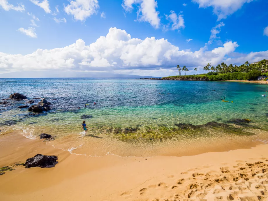 Kapalua Körfezi