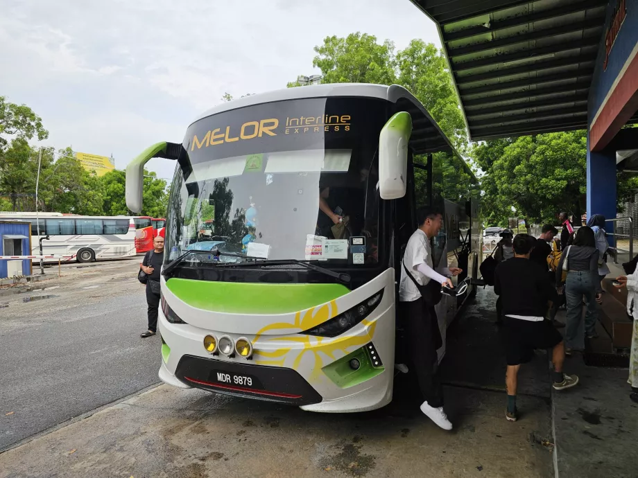 Melor Interline, Koç